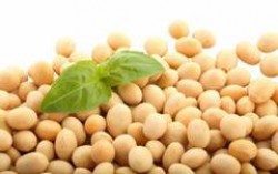 Дожди изменили панораму для кукурузы и сои в Южной Бразилии