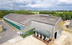 Небывалый урожай вдохновляет глобальный зерновой заповедник