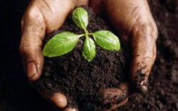 Чернозем Украины - Золото экономики