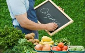 Органические продукты в Украине – привычка?
