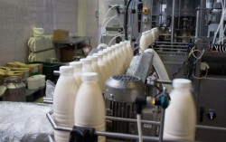 Украинский Кабмин планирует сохранить молочные компании