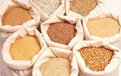 Украина увеличила экспорт зерна в т.г. по сравнению с 2013 г.