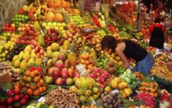 Теплая зима в Италии ускорила созревание фруктов и овощей