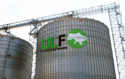 «Укрлендфармінг» планирует поставлять около 750 000 тонн кукурузы в Китай