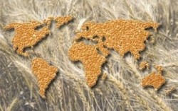 Новые рынки сбыта для аграрной продукции