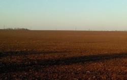 Аграрии Украины обеспокоены дефицитом влаги в почве