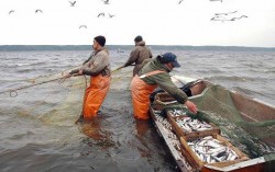 В Украине стартует запрет на вылов рыбы