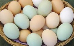 АМКУ пригрозил магазинам штрафами из-за дорогих яиц