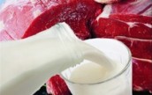 Вслед за импортными продуктами в торговых сетях дорожают отечественные мясо и молоко