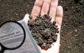 Краткосрочная аренда земель в Украине приводит к истощению почв