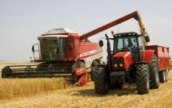 Сельское хозяйство потянуло вниз украинскую экономику
