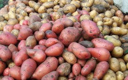 Украина не запрещала и не будет запрещать ввоз продуктов из России