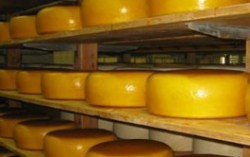 Экспорт сыров из Украины сократился в 1,8 раза
