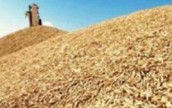 Крым начал экспорт зерна в Саудовскую Аравию и на Кипр
