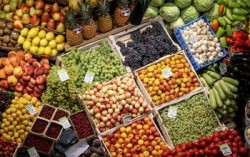 Россельхознадзор запретил импорт фруктов из Молдовы